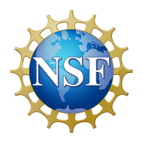 Group receives NSF LEAPS-MPS grant to study the mechanism of NHSG mineralization